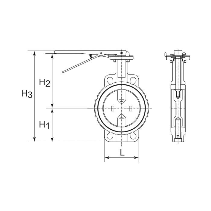 RIEGLER Zwischenflansch-Absperrklappe, Handhebel, DN 150_1