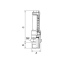 RIEGLER Sicherheitsventil DN 8, Messing, G 1/2, Ansprechdruck 14 bar_3
