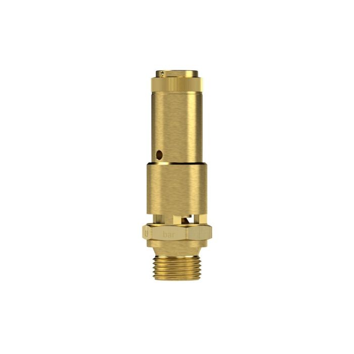 RIEGLER Sicherheitsventil DN 10, Messing, G 3/4 Ansprechdruck 10,2 bar_2