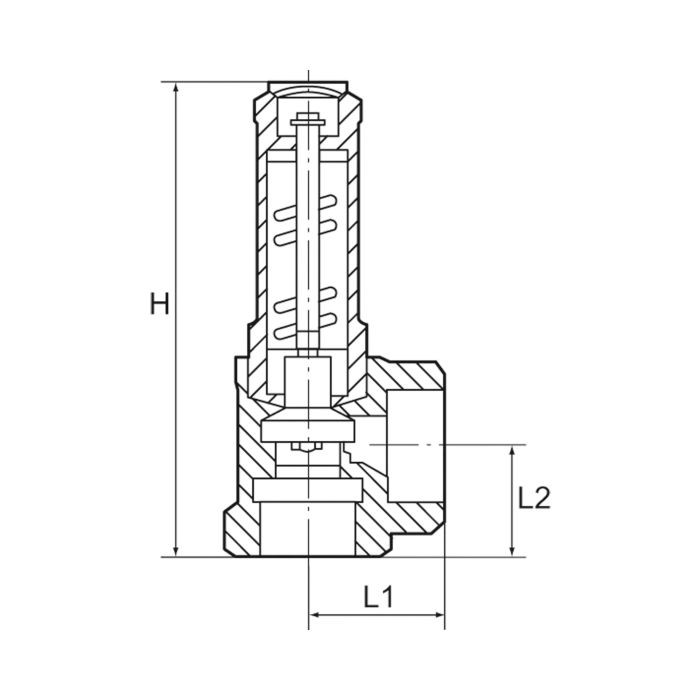 RIEGLER Eck-Sicherheitsventil, Flüssigkeiten, G 1, Ansprechdruck 13 bar_3