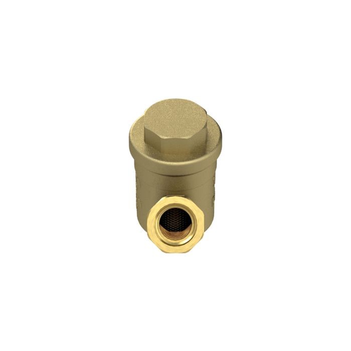 RIEGLER Schmutzfänger, Messing blank, G 1/2, DN 15, MW 0,5 mm_1