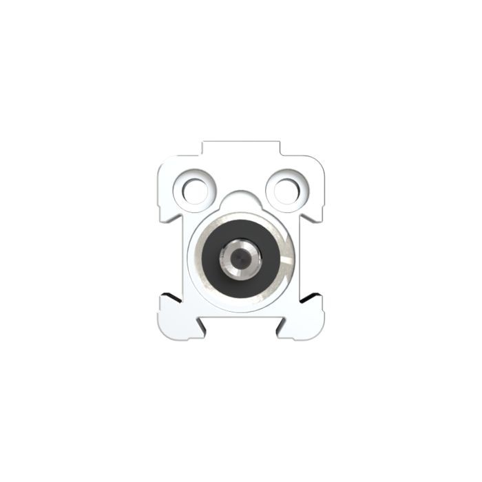 RIEGLER Kurzhubzylinder, doppeltwirk., Magnet, Kolben-Ø 32, Hub 25, G 1/8_1