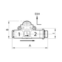 RIEGLER Schnellentlüftungsventil Schalld. G1/4 (Ausg.) - Schl.8 (Eing.)_1