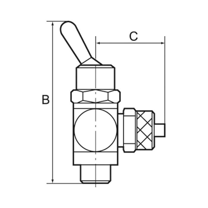 RIEGLER 3/2-Wege-Kipphebelventil, Schlauchseite, Steckverb.G1/4, Schl. 10_1