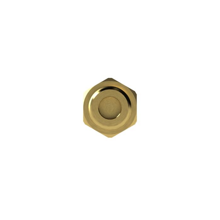 RIEGLER Schnellverschlusskupplung NW 5, Messing blank, G 1/8 AG_1
