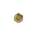 RIEGLER Schnellverschlusskupplung NW 5, Messing blank, G 1/8 AG_1
