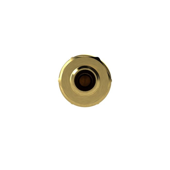 RIEGLER Schnellverschlusskupplung NW 7,2, Messing blank, G 1/8 AG_1