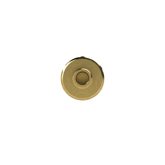 RIEGLER Schnellverschlusskupplung NW 7,2, Messing blank, Tülle LW 6_1