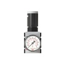 RIEGLER Druckregler »FUTURA«, inkl. Manometer, BG 2, G 3/8, 0,1 - 2 bar, Frontansicht