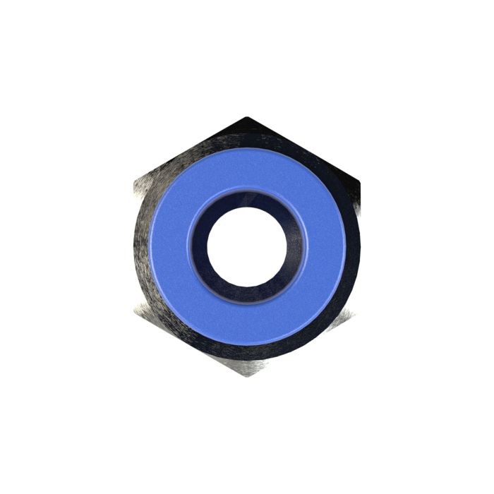 RIEGLER Gerade Steckverschraubung »Blaue Serie«, G 1/4 innen, Ø 6 mm_1