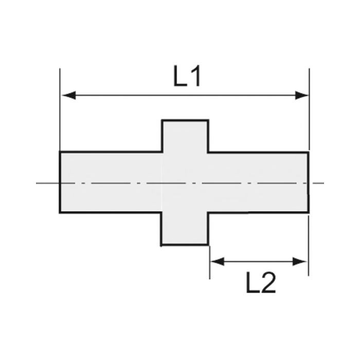 RIEGLER Gerade Einschraubverschraubung, G 1/4 a., f. Schlauch 8/10 mm, PA_1