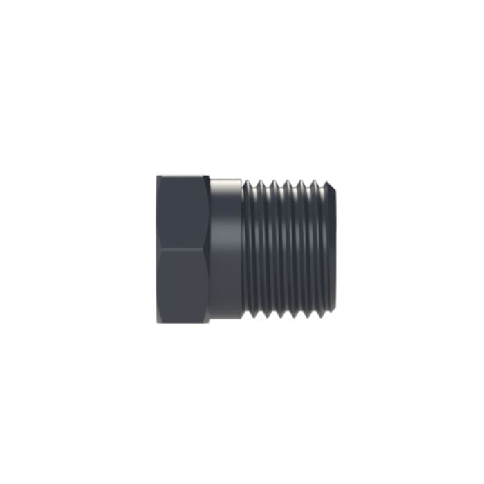 RIEGLER Blindstopfen, R 1/8 a., SW 22, PA 6_2