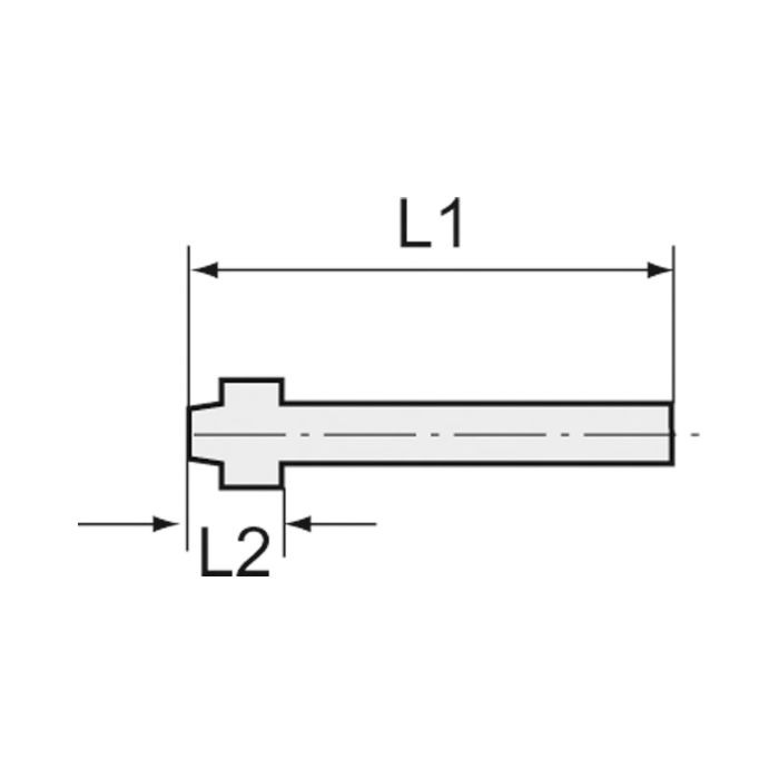 RIEGLER Tülle, Kugelnippel, für LW 13, f. Überwurfmutter G 1/2, ES 1.4571_1