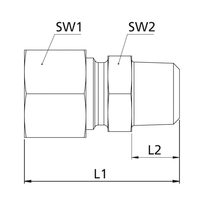 RIEGLER Gerade Einschraubverschraubung, R 1/4 a., Rohr-Ø 6, Stahl verz._1