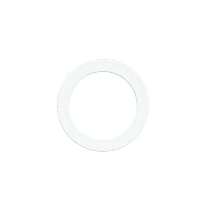 RIEGLER Dichtring aus PTFE, für Gewinde G 1/8, VPE 100 Stk._1