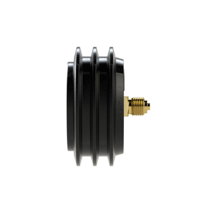 RIEGLER Manometer, 0 - 10 bar/140 psi, ø 63 mm, G 1/4, hinten_2