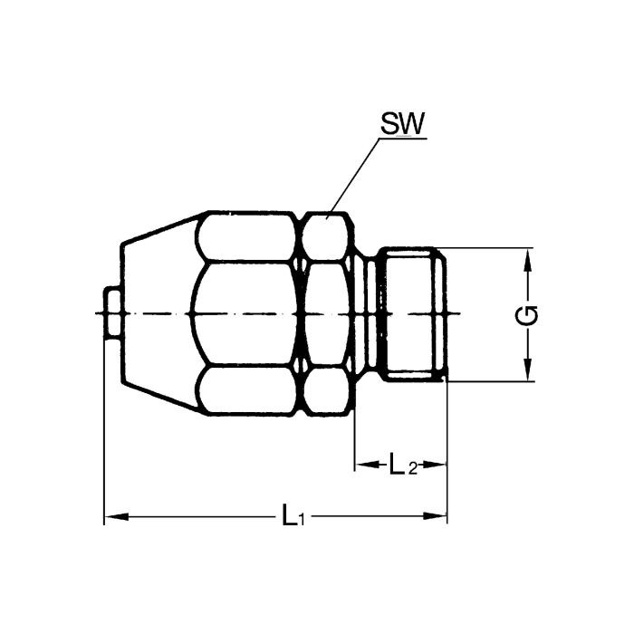RIEGLER Einschraubverschraubung, für PVC-Pneumatikschlauch 11,6x9, G 3/8_1