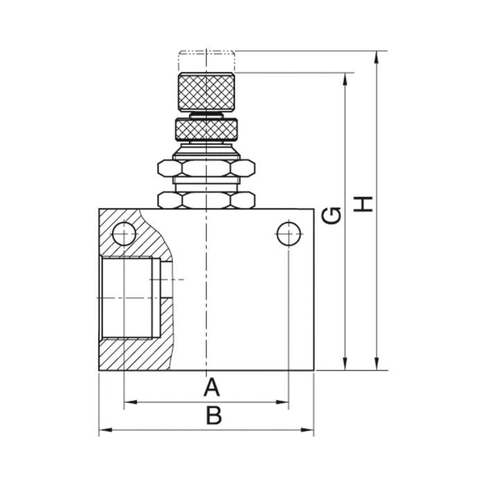 RIEGLER Drosselrückschlagventil »ASC«, in Blockform, Aluminium, G 1/8_1