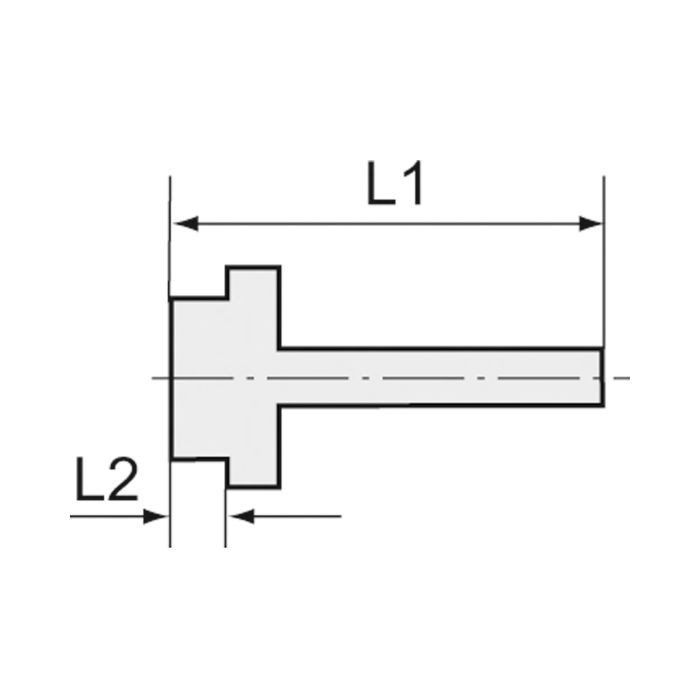 RIEGLER Einschraubschlauchtülle, O-Ring »value line« G 1/4, LW 6_1
