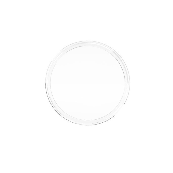 RIEGLER Sichtscheibe aus Kunststoff, für Manometer NG 50_1