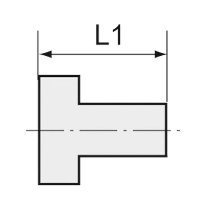 RIEGLER Reduziernippel, G 2 AG, 1 IG, SW 61, ES 1.4408_3