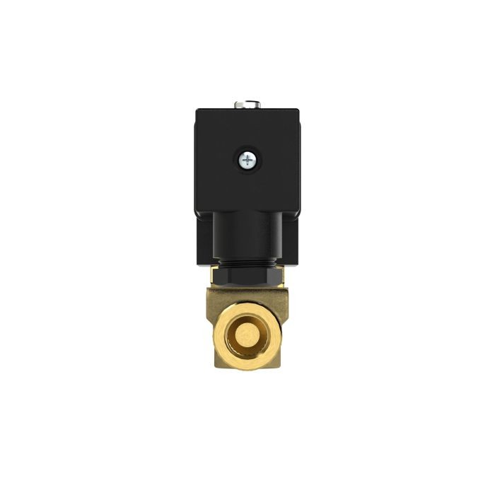 RIEGLER 2/2 MV, NO, MS, G14, DN 2,5, PN 0-10, FPM, direktg. 230V AC_1