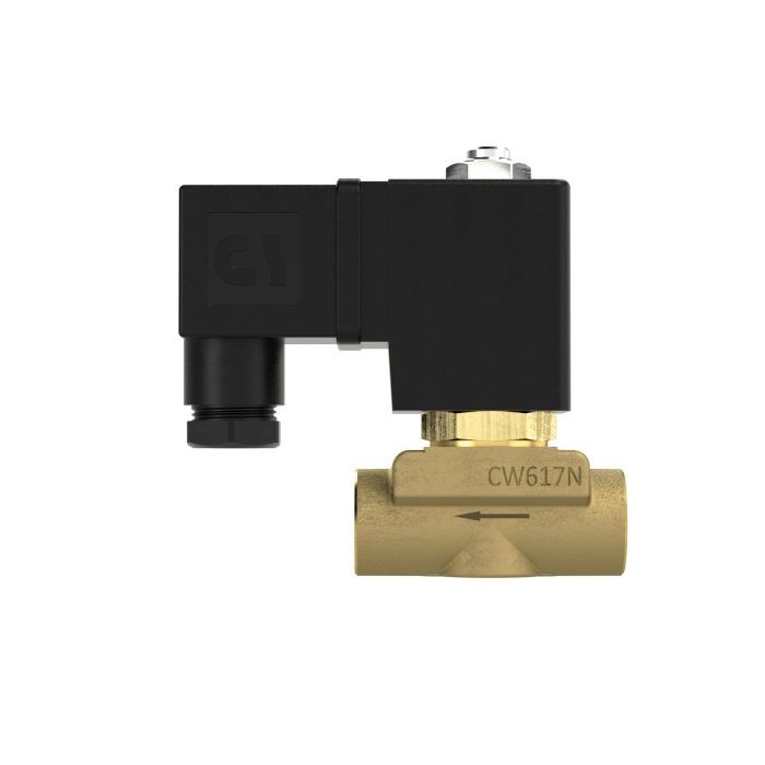 RIEGLER 2/2 MV, NO, MS, G14, DN 2,5, PN 0-10, FPM, direktg. 230V AC_2