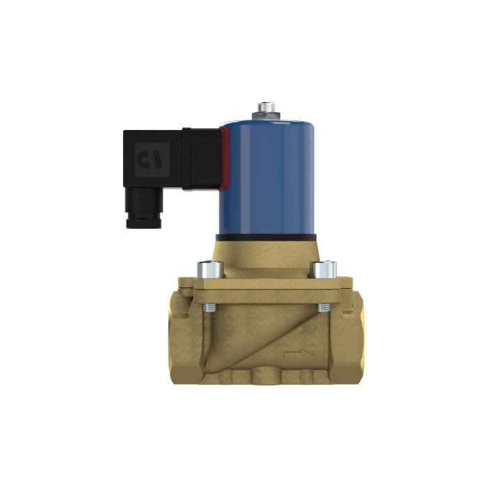 RIEGLER 2/2 MV, NC, MS, G114, DN32, PN 0-12, FPM, zwangsg., 24V DC_2