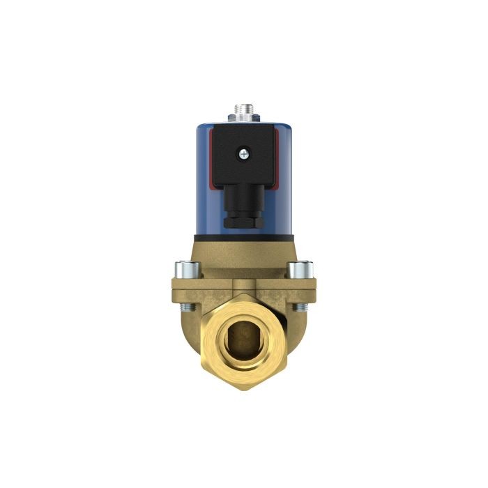 RIEGLER 2/2 MV, NC, MS, G114, DN32, PN 0-12, FPM, zwangsg., 24V AC_1