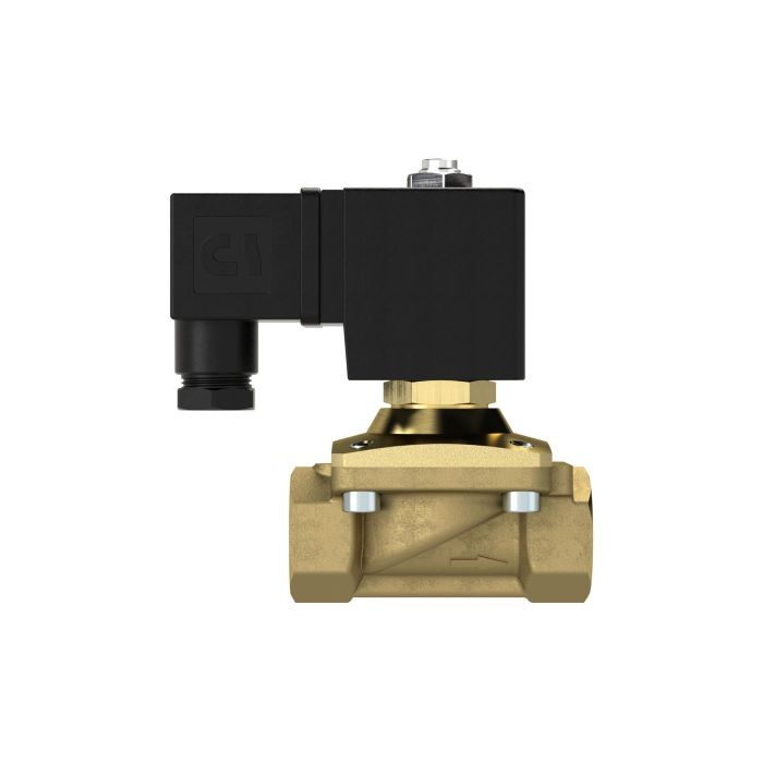 RIEGLER 2/2 MV, NO, MS, G38, DN13, PN 0-12, NBR, zwangsg., 230V AC_2