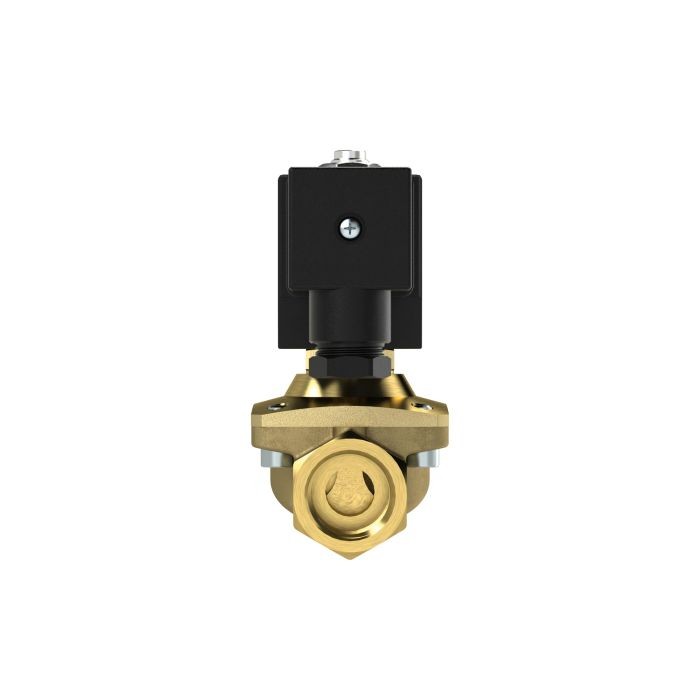RIEGLER 2/2 MV, NO, MS, G12, DN13, PN 0-12, NBR, zwangsg., 230V AC_1