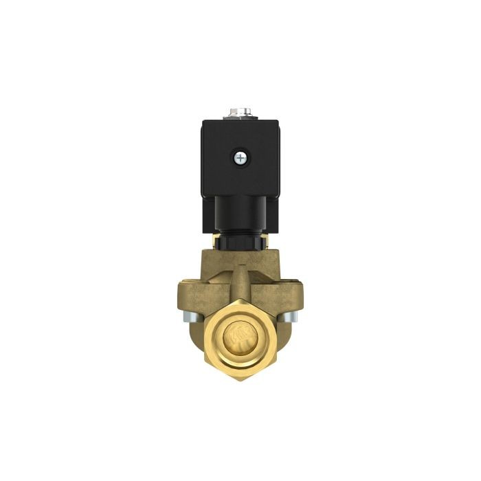 RIEGLER 2/2 MV, NO, MS, G12, DN13, PN 0,5-12, NBR, vorgest., 24V DC_1