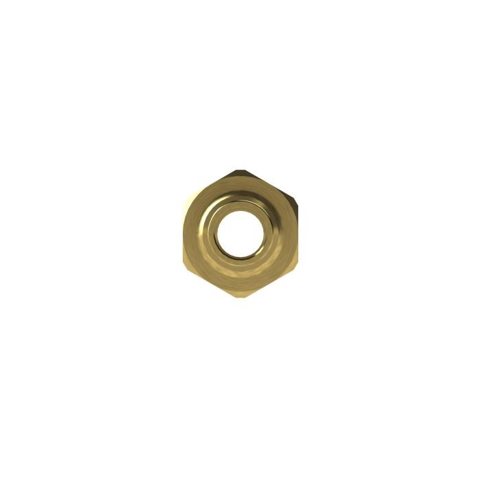 RIEGLER Einschraubschlauchtülle, G 2 1/2, f. Schlauch LW 63 mm, SW 80, MS_1