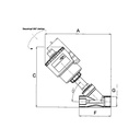 RIEGLER Schrägsitzventil ohne NAMUR-Schnittstelle, ES, G 3/4, max. 10 bar_1
