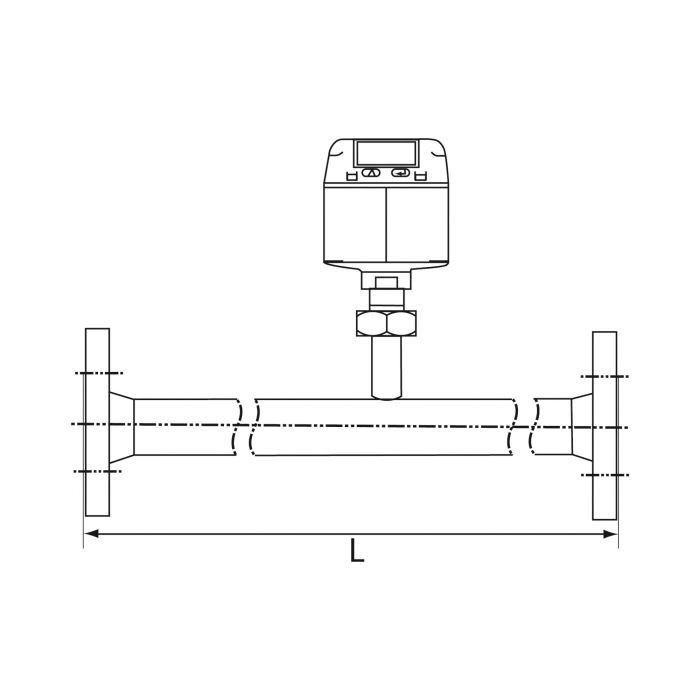 RIEGLER Durchflussmengenmesser, DN 20, FL 20, 0,3 - 170 m³/h_1