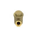 RIEGLER Schmutzfänger, Messing blank, G 1/2, DN 15, MW 0,2 mm_1
