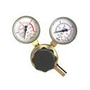 RIEGLER Leitungsdruckregler 300 bar, inkl. Mano, G 1/4 IG, 1 - 100 bar_1