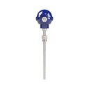 RIEGLER Widerstandsthermometer, TR10-C, 1xPt100, 4-Leiter, 4-20 mA, 250mm_2