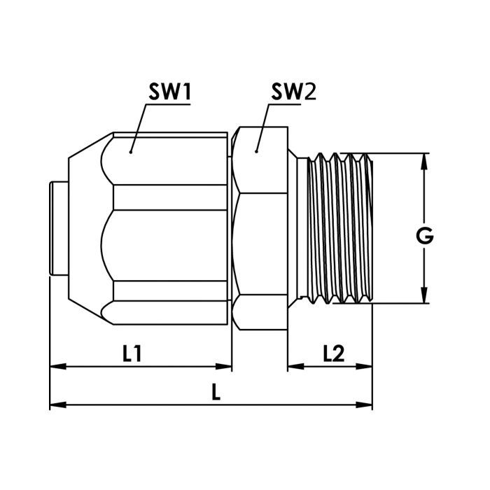 RIEGLER Einschraubverschraubung für PVC-Pneumatikschlauch 13x17,6, G 3/8_1