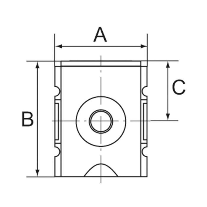RIEGLER Rückschlagventil »FUTURA«, BG 1, G 1/4_1