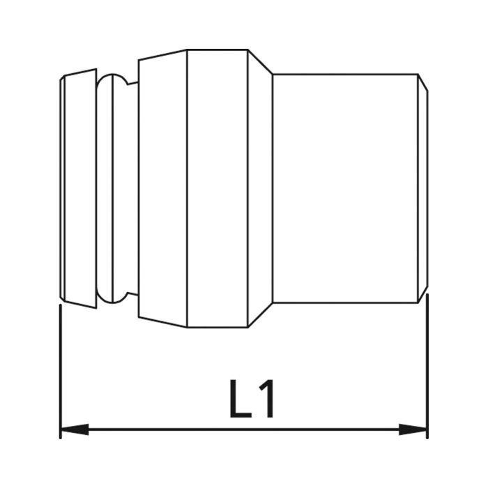 RIEGLER Verschlussstopfen, Rohr-Außen-Ø 8 mm, PN max. 630 bar_1