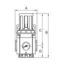 RIEGLER Druckregler »GA-mini«, inkl. Manometer, BG 200, G1/8, 0,5 - 9 bar_1
