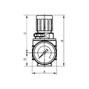 RIEGLER Druckregler »multifix-mini« inkl. Mano, BG 0, G 1/4, 0,5 - 10 bar_3