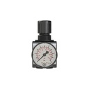 RIEGLER Druckregler »multifix«, inkl. Manometer, BG 3, G 1/2, 0,5-16 bar_1