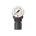 RIEGLER Druckregler »Standard-mini« inkl. Mano, BG 0, G 1/4, 0,1-3,5 bar_1
