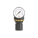 RIEGLER Druckregler »Standard-mini«, Schalttafelmutter, G 1/4, 0,2-6 bar_1