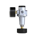 RIEGLER Druckregler »Standard«, inkl. Manometer, BG 1, G 1/4, 0,5-10 bar_2