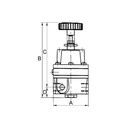 RIEGLER Präzisionsdruckregler ohne Mano, G 1/4, Regelbereich 0,05 - 2 bar_1