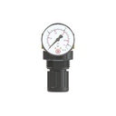 RIEGLER Druckregler für Wasser, inkl. Mano, G 1/4, 0,1-3 bar, PE max. 25_1