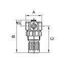 RIEGLER Druckregler für Wasser, inkl. Mano, G 1/4, 0,2-6 bar, PE max. 25_3
